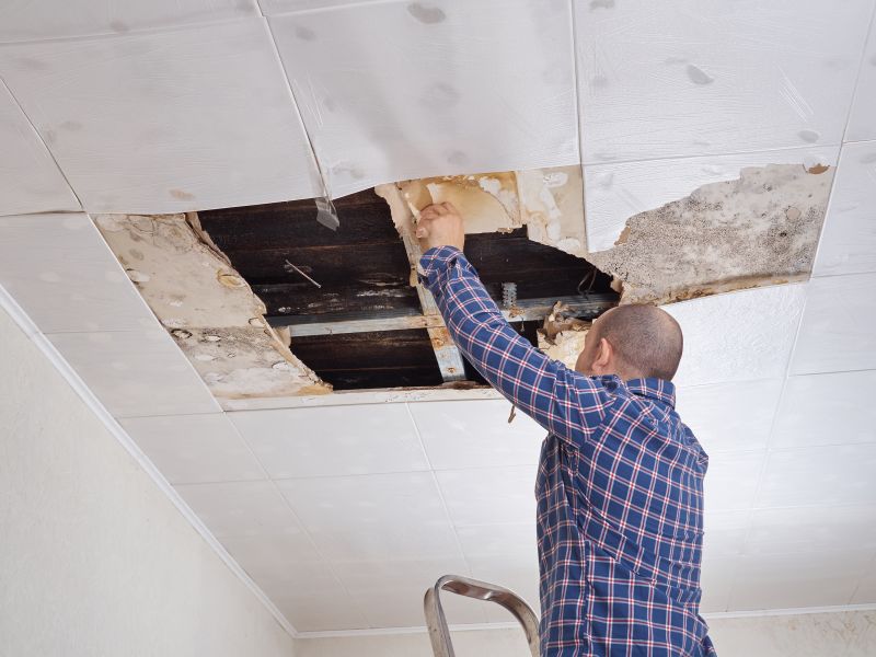 Grid Ceiling Repair