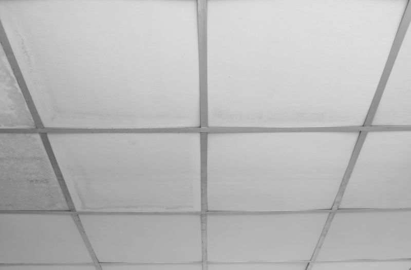 Grid Ceiling Repair in Arvada, CO