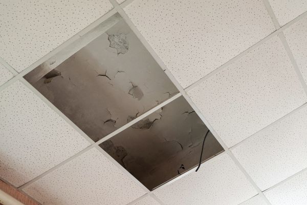 Ceiling Tile Removal - Ceiling Tile Removal Spokane, Washington